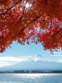 【山梨】富士山×紅葉の絶景🍁