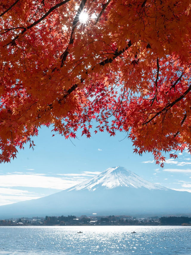 【山梨】富士山×紅葉の絶景🍁