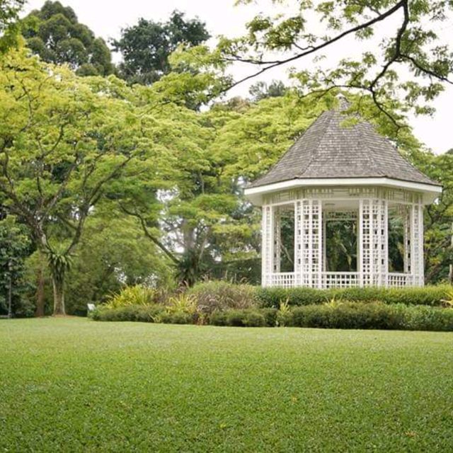 Strolling with serenity - Singapore Botanic Gardens