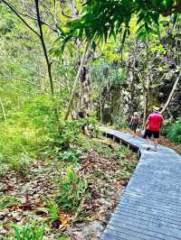 The Enchanting Beauty of Maya Bay