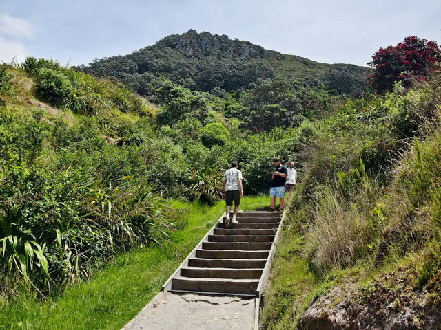 Scenic Coastal Walk: Mount Maunganui Base Hiking Trail