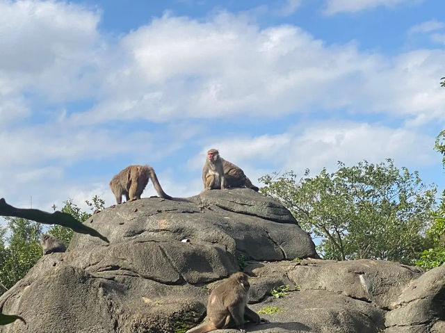  台北市立動物園：台灣最大且最具教育意義的生態樂園