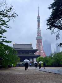 Discover Serenity at Zojoji Temple in Tokyo