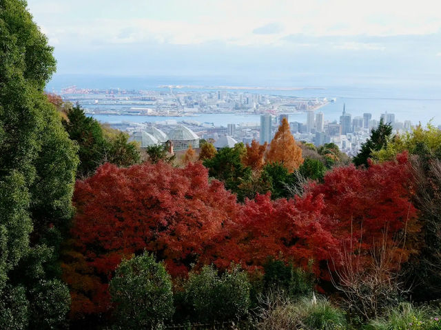 Kobe Nunobiki Herb Gardens & Ropeway 