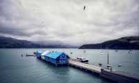 New Zealand's French town - Akaroa.