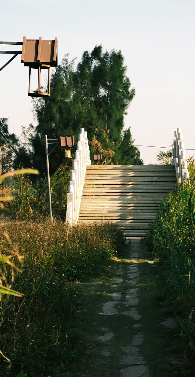 石獅濕地公園｜小眾拍照我的秘密基地