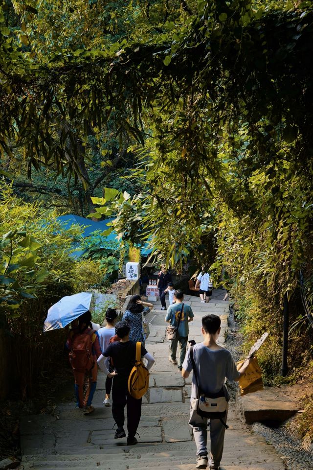 來重慶，別只顧著流連洪崖洞，南山才是真正的寶藏之地！