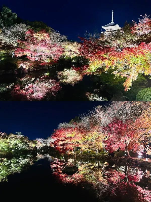 Special Opening: Kyoto Toji Temple Night Maple Light Show