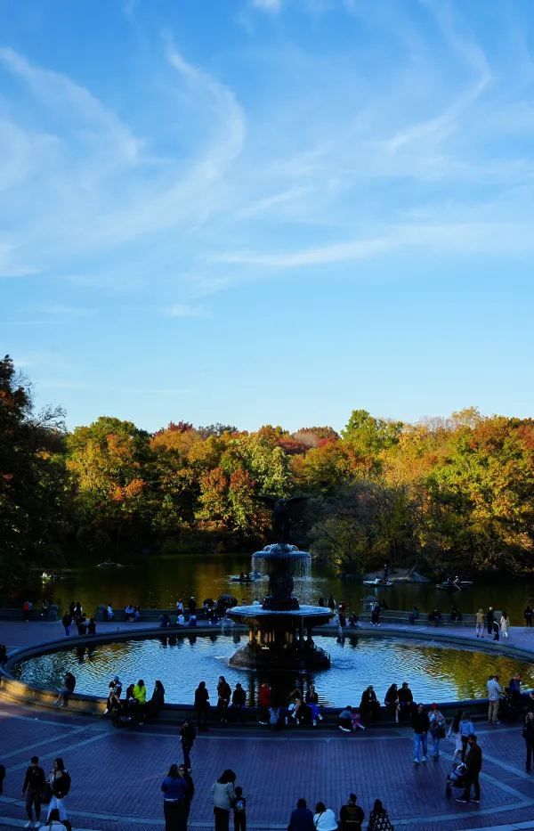 Autumn in New York City 🍂