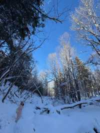 雪谷嘉鑫客棧