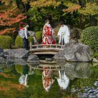 大濠公園日本庭院｜來這裡拍照吧