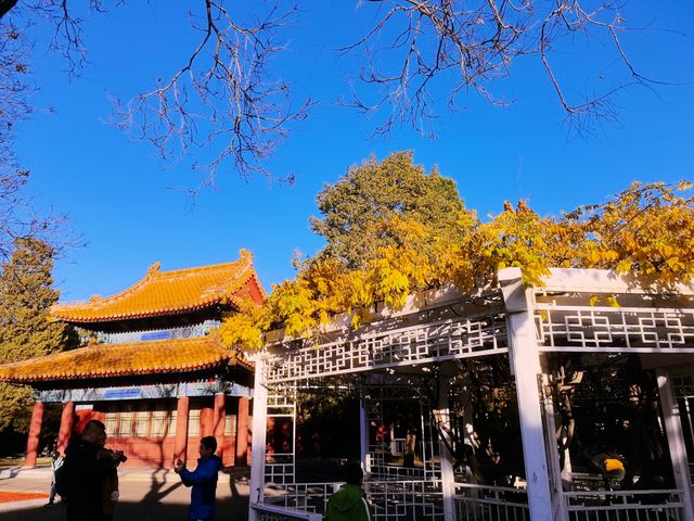 北京中山公園之秋，3元門票