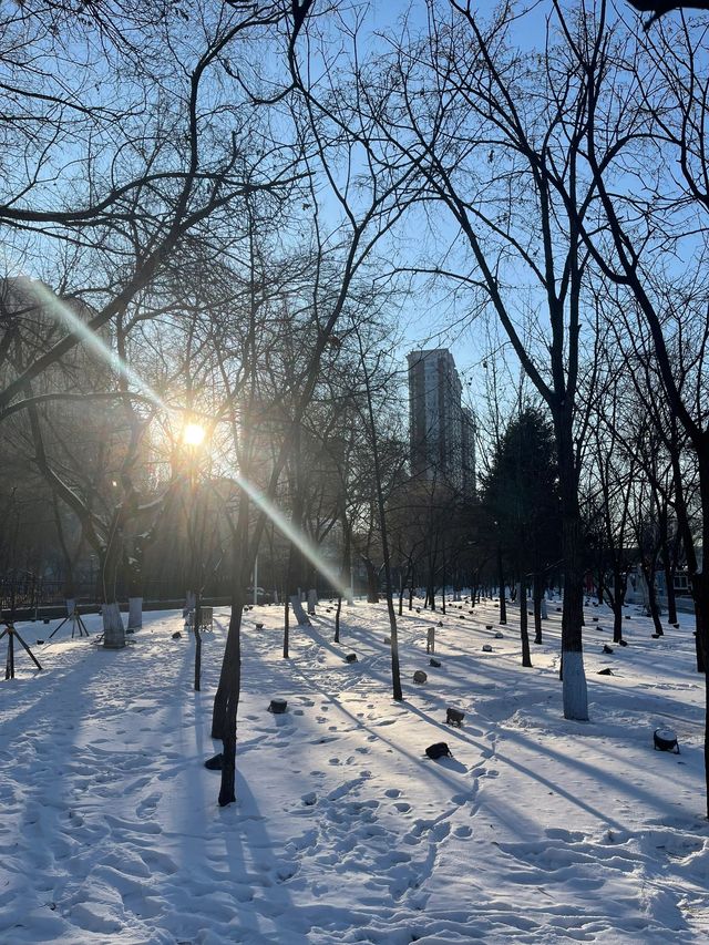 哈爾濱-雪鄉滑雪太絕了後悔沒早點來