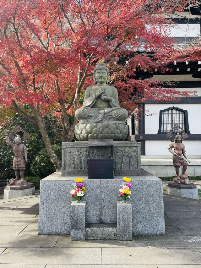 日本·神奈川鎌倉