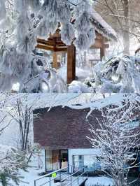 長白山！二道白河！雪景木屋真的好 city 啊！