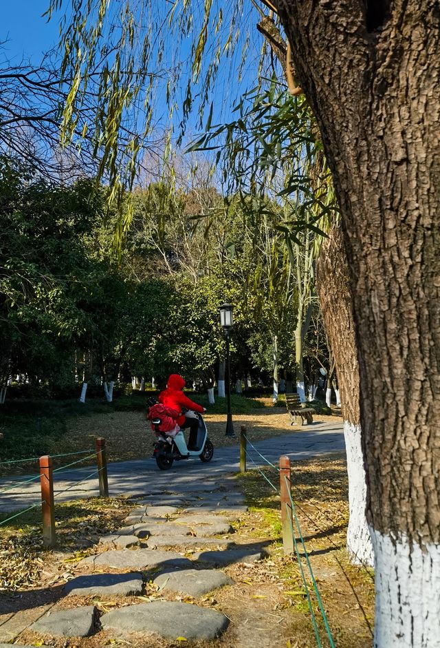 冬日湘湖之美