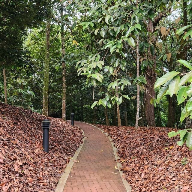 新加坡植物園（Singapore Botanic Gardens）