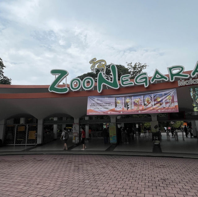 Zoo Negara one day trip