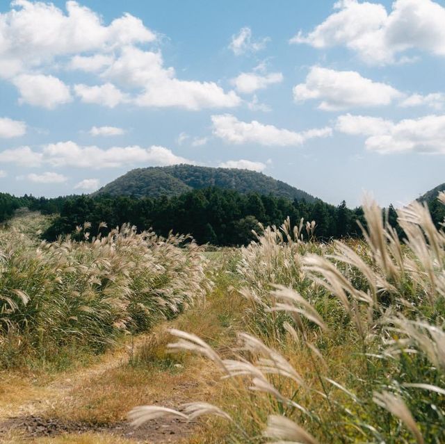 Shilla Jeju