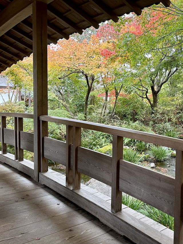 世界遺産姫路城を望む日本庭園✨紅葉を眺めながら食事！