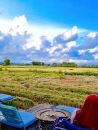 MUST VISIT CAFE AMIDST PADDY FIELD IN HOI AN