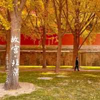 Revisiting Forbidden City’s Off the Beaten Path