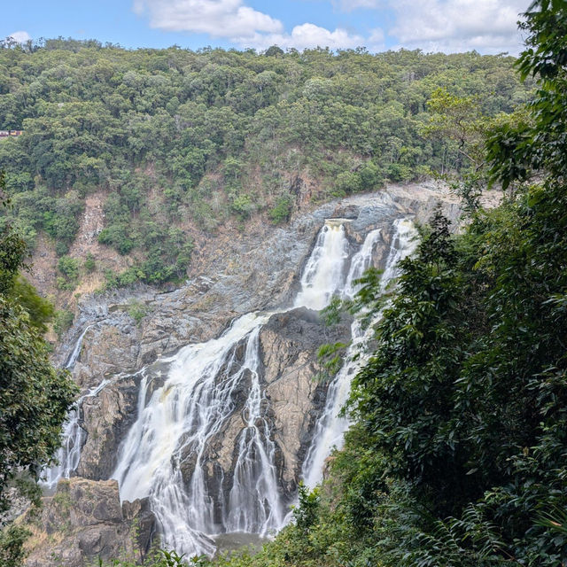 Discover the Charm of Kuranda, Queensland