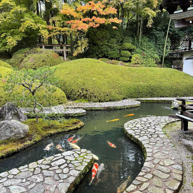 Koyasan UNESCO World  Heritage temple lodging