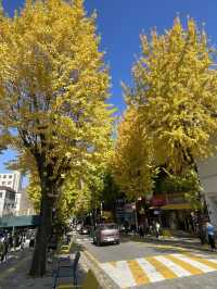 Autumn Foliage at Ewah University 