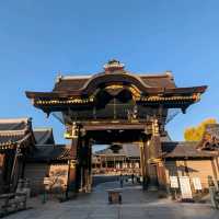 🇯🇵京都「西本願寺 東本願寺」銀杏盛開實況！穿越時空的寧靜之美