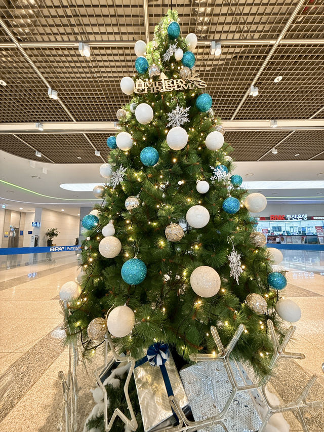 【釜山】キラキラ✨釜山国際フェリーターミナルのクリスマスツリー🎄