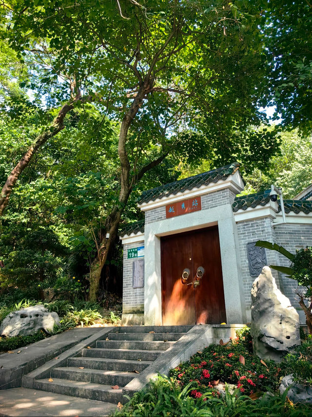 Yuexiu Park (越秀公园): A Serene Escape in the Heart of Guangzhou