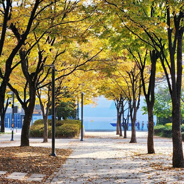 Seoul Forest Park