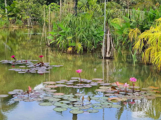 星和園遊記：新加坡的隱秘花園 