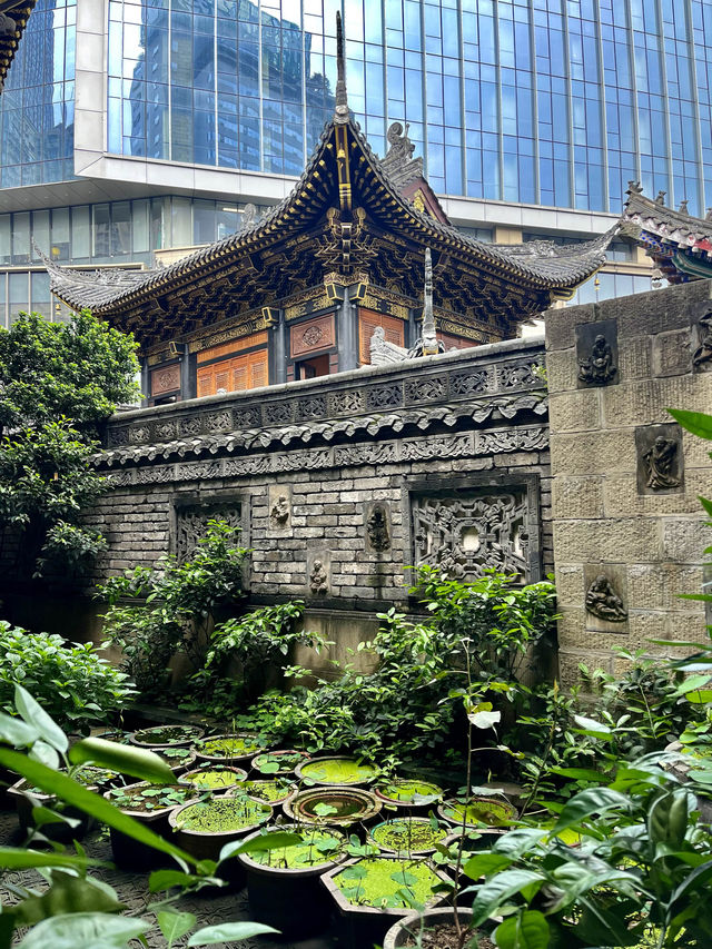 Luohan Temple: A gem in Chongqing. 