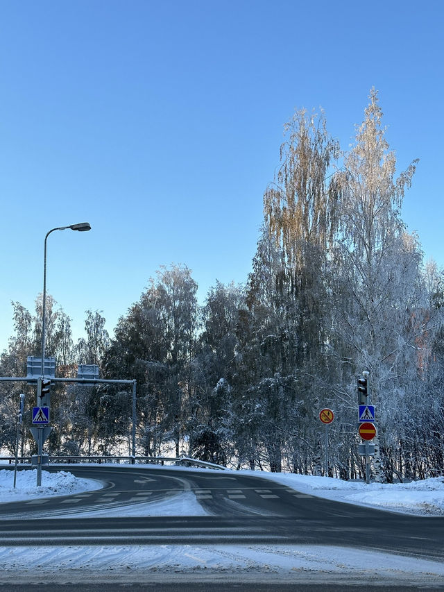 【北極圈的雪景：令人流連忘返！】