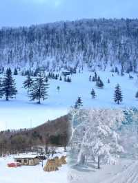 哈爾濱 雪谷｜不是雪鄉去不起，而是雪谷更有性價比