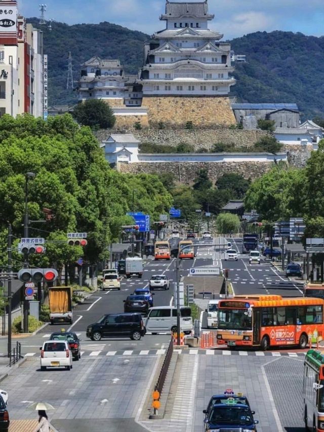 Beautiful Himeji Castle in Japan 🇯🇵🏰♥️