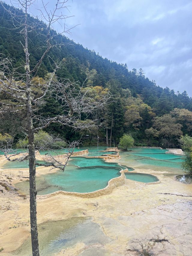 6日賞秋好去處茂縣-丹巴-九寨溝別錯過。