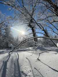 冬日戀歌要去雪鄉等地美哭了。