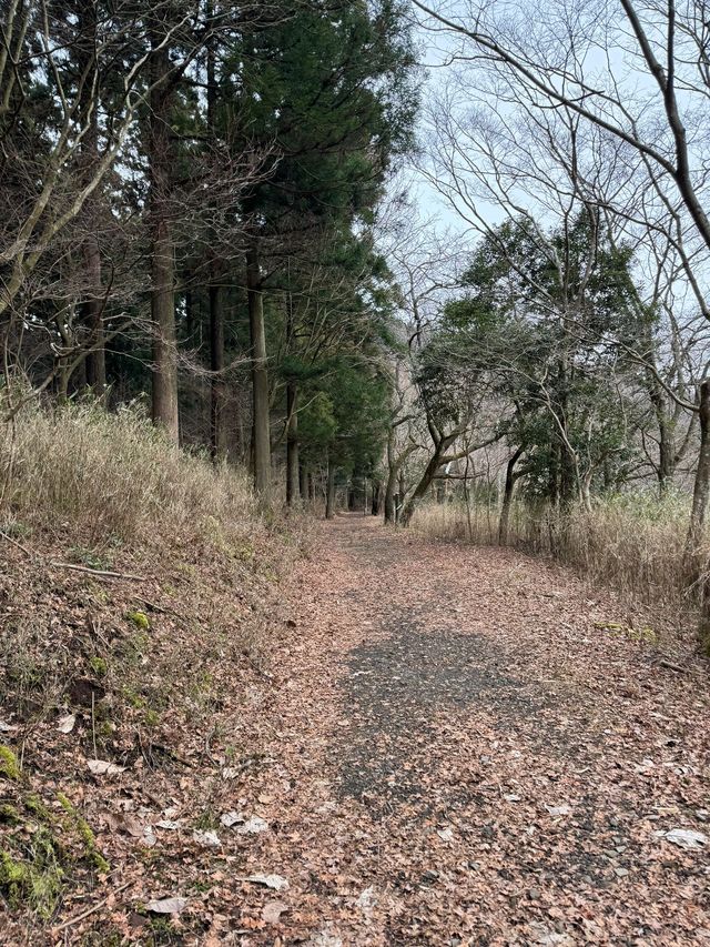 日本老年人冬日旅行攻略暖心建議。