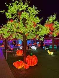 Explore the Illumi Light Show in Mississauga