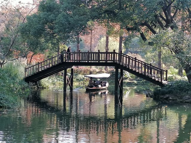 杭州 citywalk（西湖賞楓徒步路線）