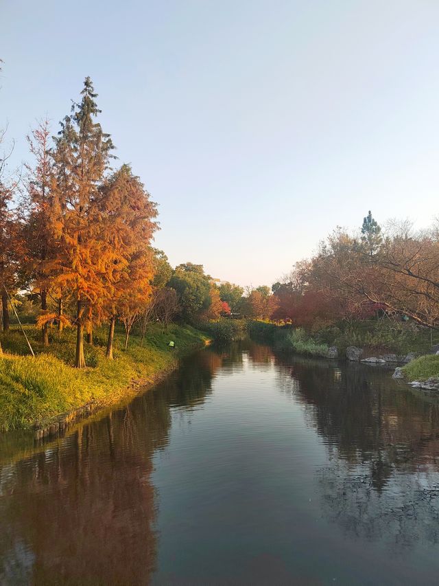 初遊上海世博文化公園