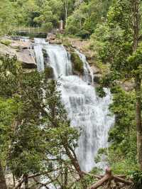 陵水吊羅山森林公園行山就 get 這條路線