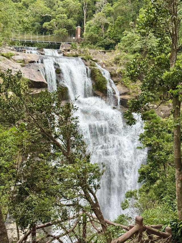 陵水吊羅山森林公園行山就 get 這條路線