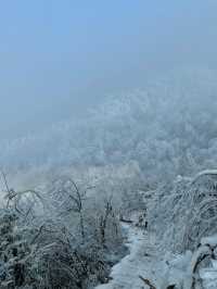 冰雪仙境中徒步，江浙滬賞雪不容錯過