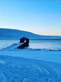 จุดรอชมแสงเหนือสุดฮิต เกาะ Svalbard 