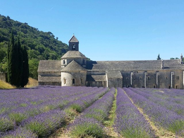 The Charming Countryside of Provence