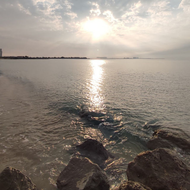 Relaxing on the Coastline